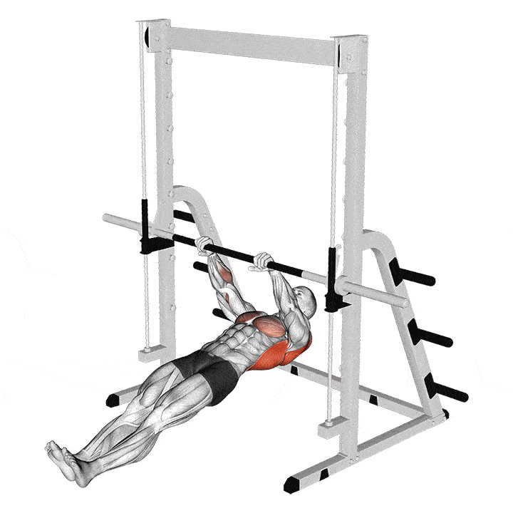 Inverted row, bodyweight back exercise